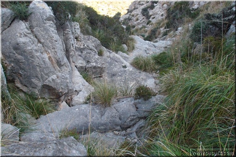 PA146038.JPG