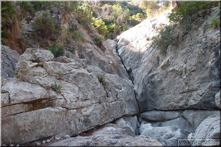 PA146082.JPG