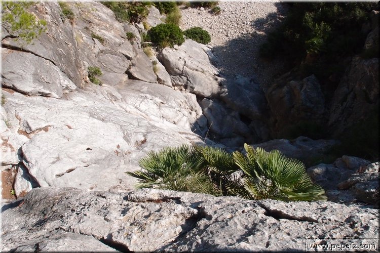 PA146085.JPG