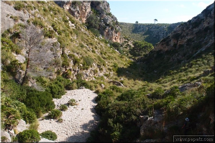 PA146086.JPG