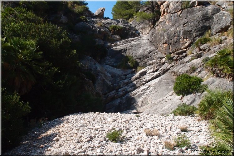 PA146090.JPG