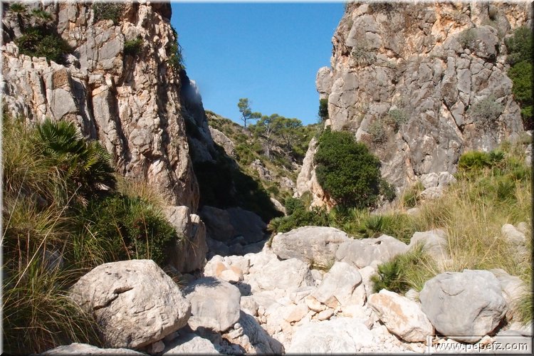 PA146095.JPG