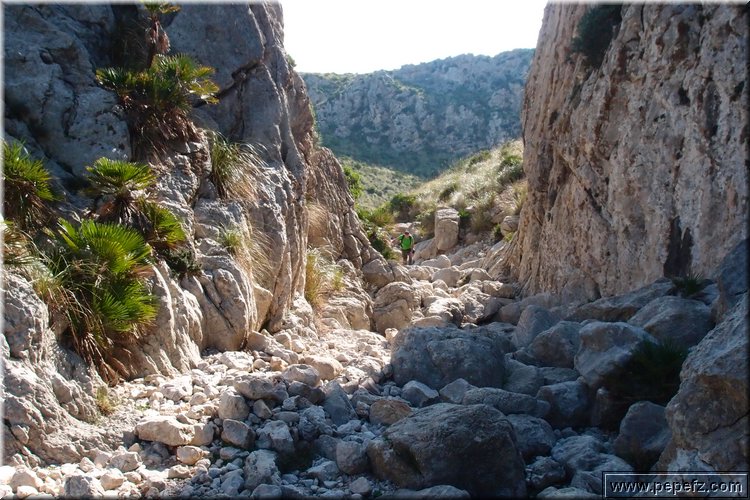 PA146096.JPG