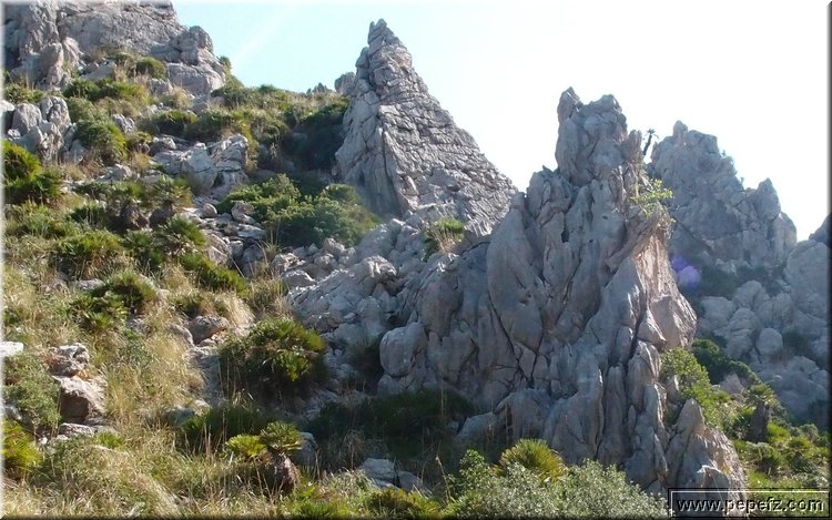PA146100.JPG