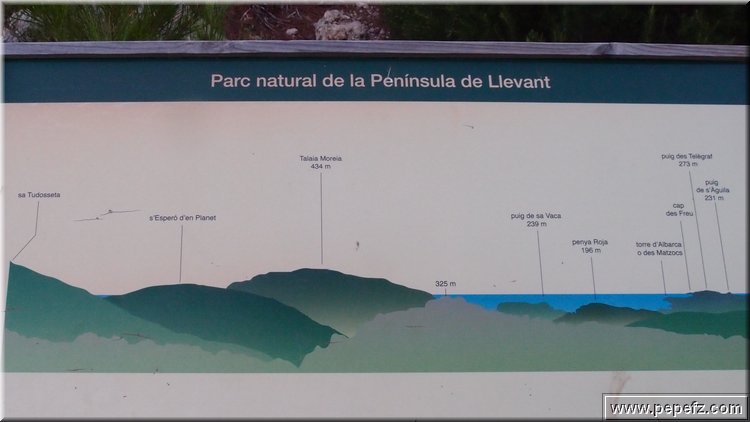 PA146123.JPG