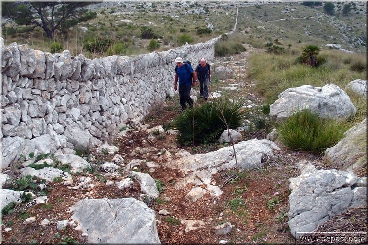 PA146135.JPG