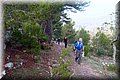 PA146025.JPG