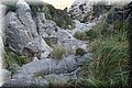 PA146038.JPG