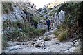 PA146040.JPG