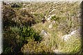 PA146053.JPG