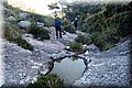 PA146059.JPG