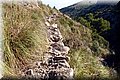PA146060.JPG