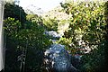 PA146065.JPG
