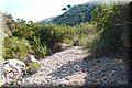 PA146072.JPG
