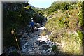 PA146080.JPG