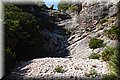 PA146090.JPG