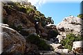 PA146091.JPG