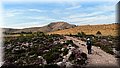 PA146120.JPG