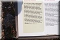 PA146129.JPG