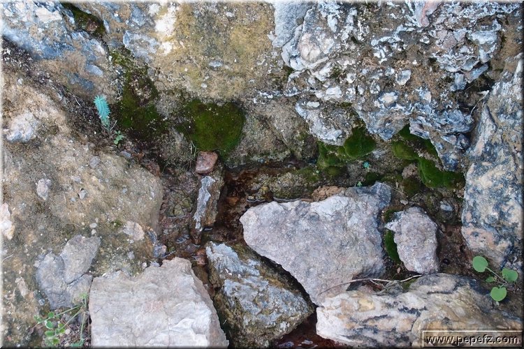 PA176227.JPG