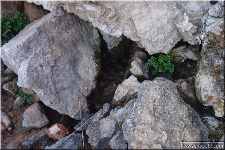 PA176228.JPG