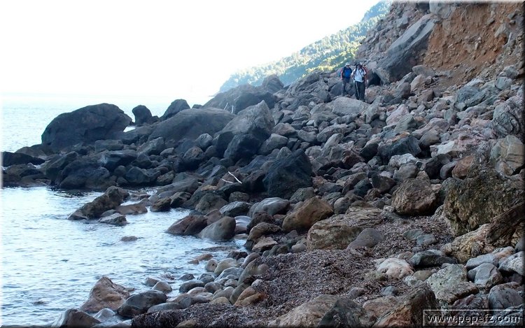 PA176229.JPG