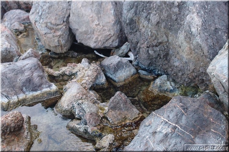 PA176230.JPG