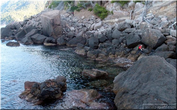 PA176249.JPG