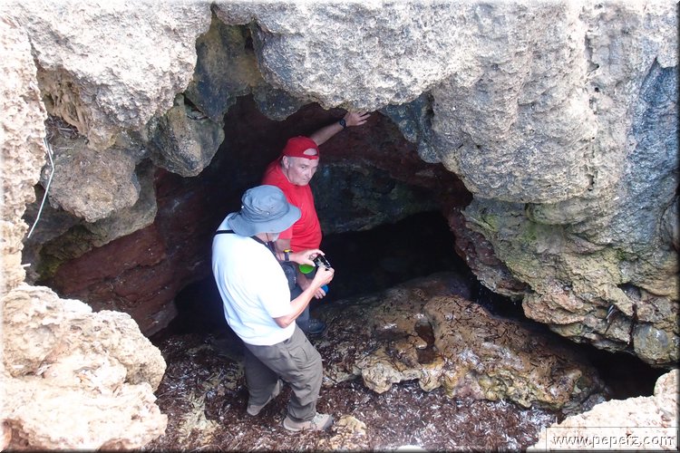 PA176254.JPG