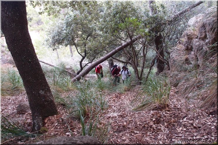 PA176264.JPG