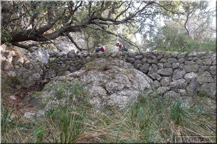 PA176274.JPG