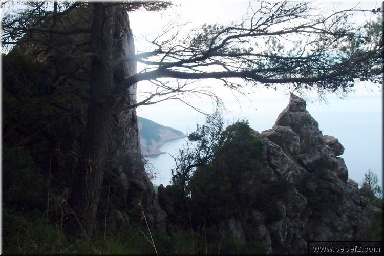PA176278.JPG