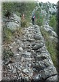 20131017_ValldHortCova_0017_1.JPG
