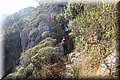 PA176215.JPG