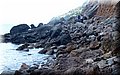 PA176229.JPG