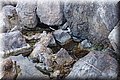 PA176230.JPG
