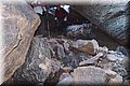 PA176235.JPG