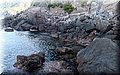 PA176249.JPG