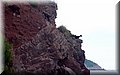 PA176257.JPG