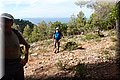 PA176260.JPG