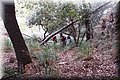 PA176264.JPG