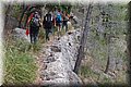 PA176268.JPG