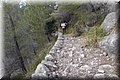 PA176271.JPG