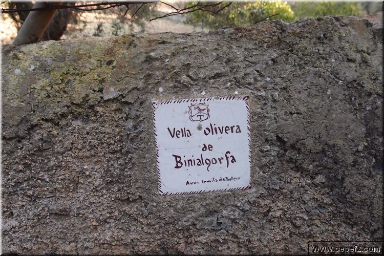 PA216374.JPG