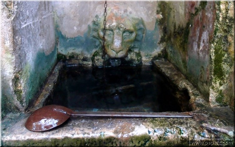 PA216380.JPG