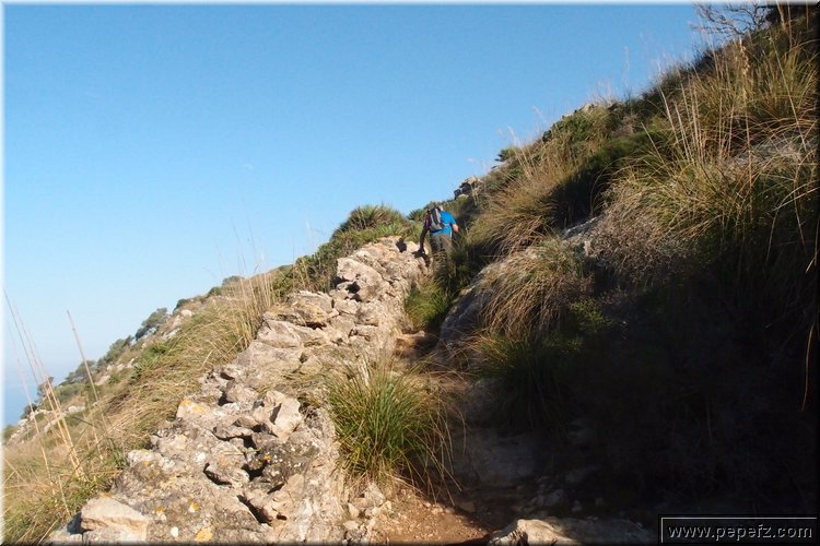PA216395.JPG