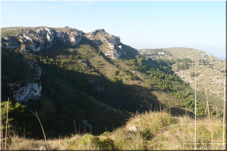 PA216396.JPG