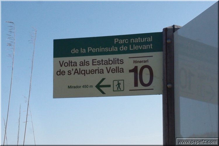 PA216403.JPG