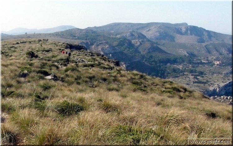 PA216412.JPG