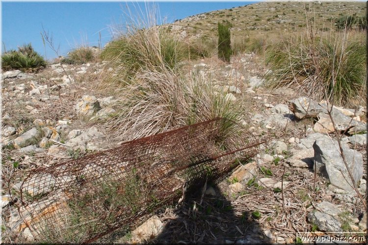 PA216445.JPG